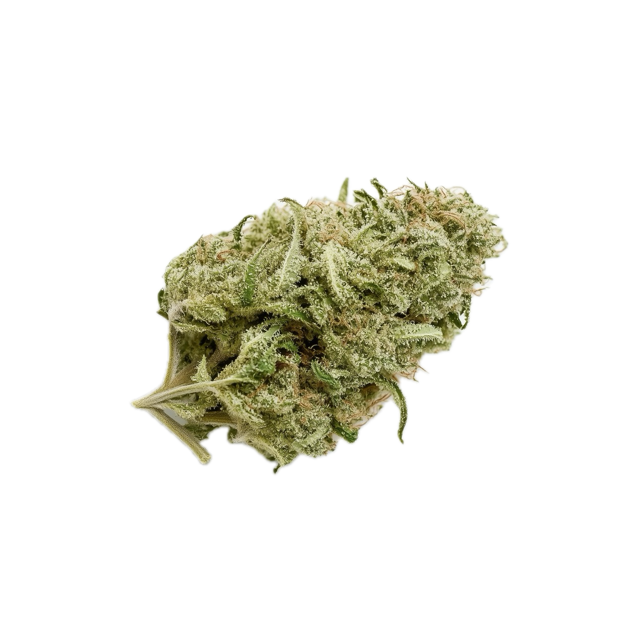 Origine Nature CHEM 25/1 "Chemdawg OG"