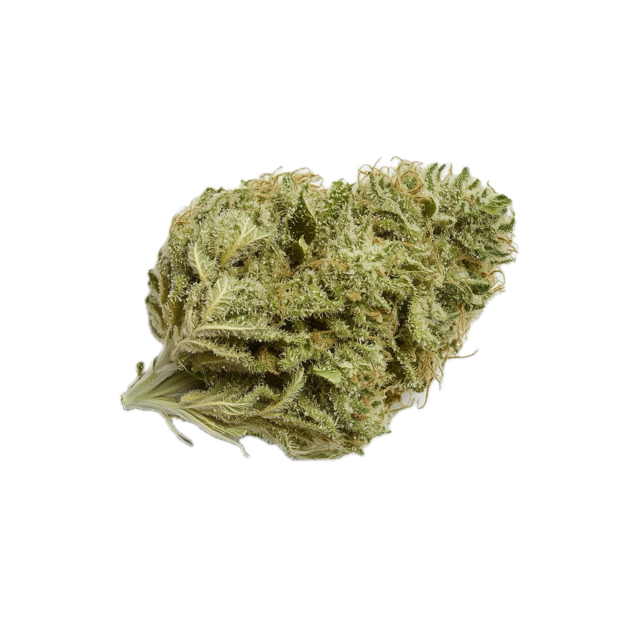 Cannamedical Indica Ultra SM 28/1 "Mintwave"