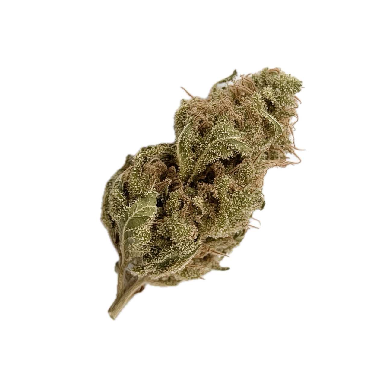 Bathera 23/1 "Dank Sinatra"