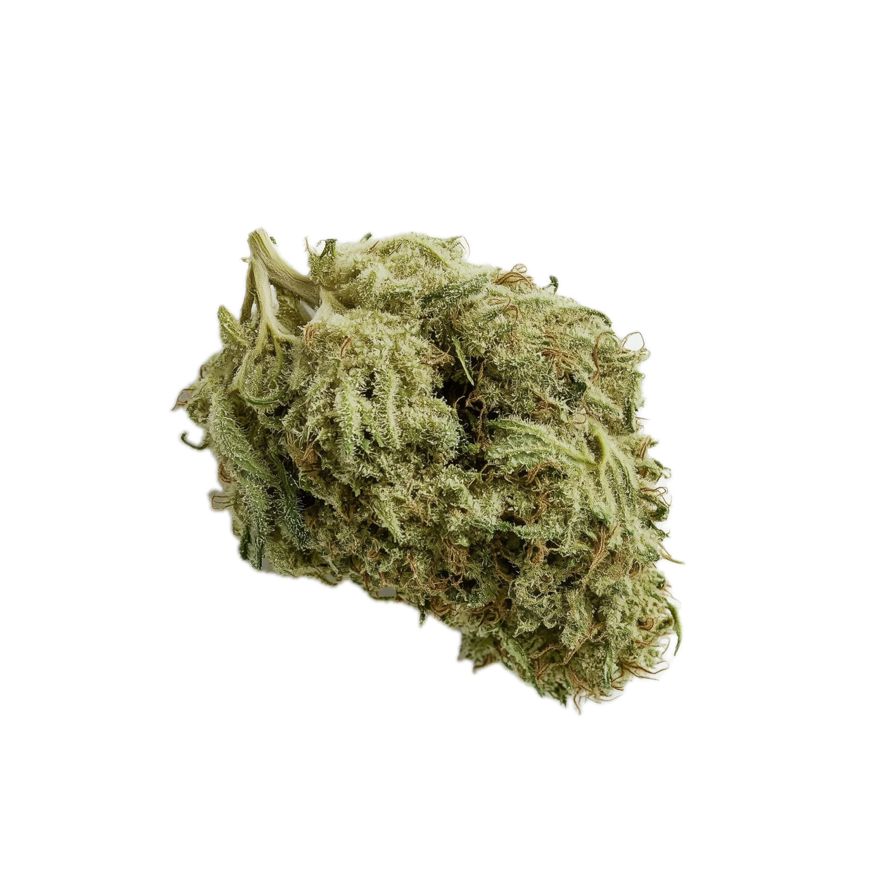 avaay 30/1 JFP "Jet Fuel Pie"