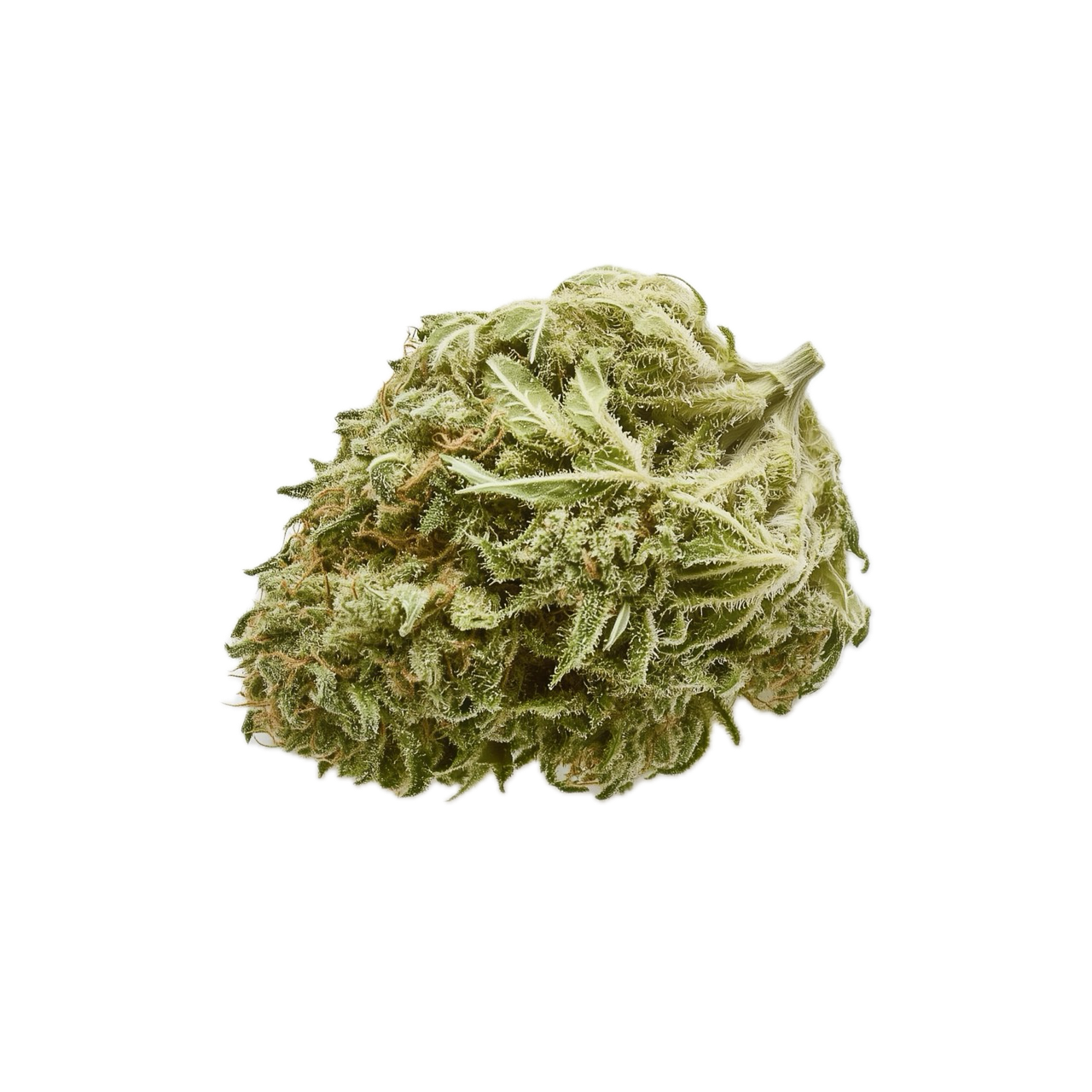 Cannamedical Indica Forte BC 24/1 "Tangerine Boost"