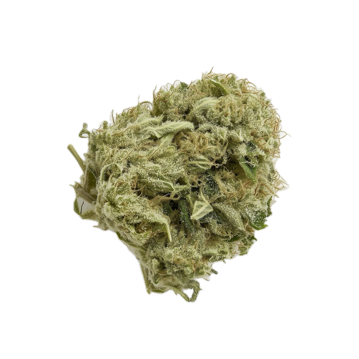Cannamedical CM 24/1 