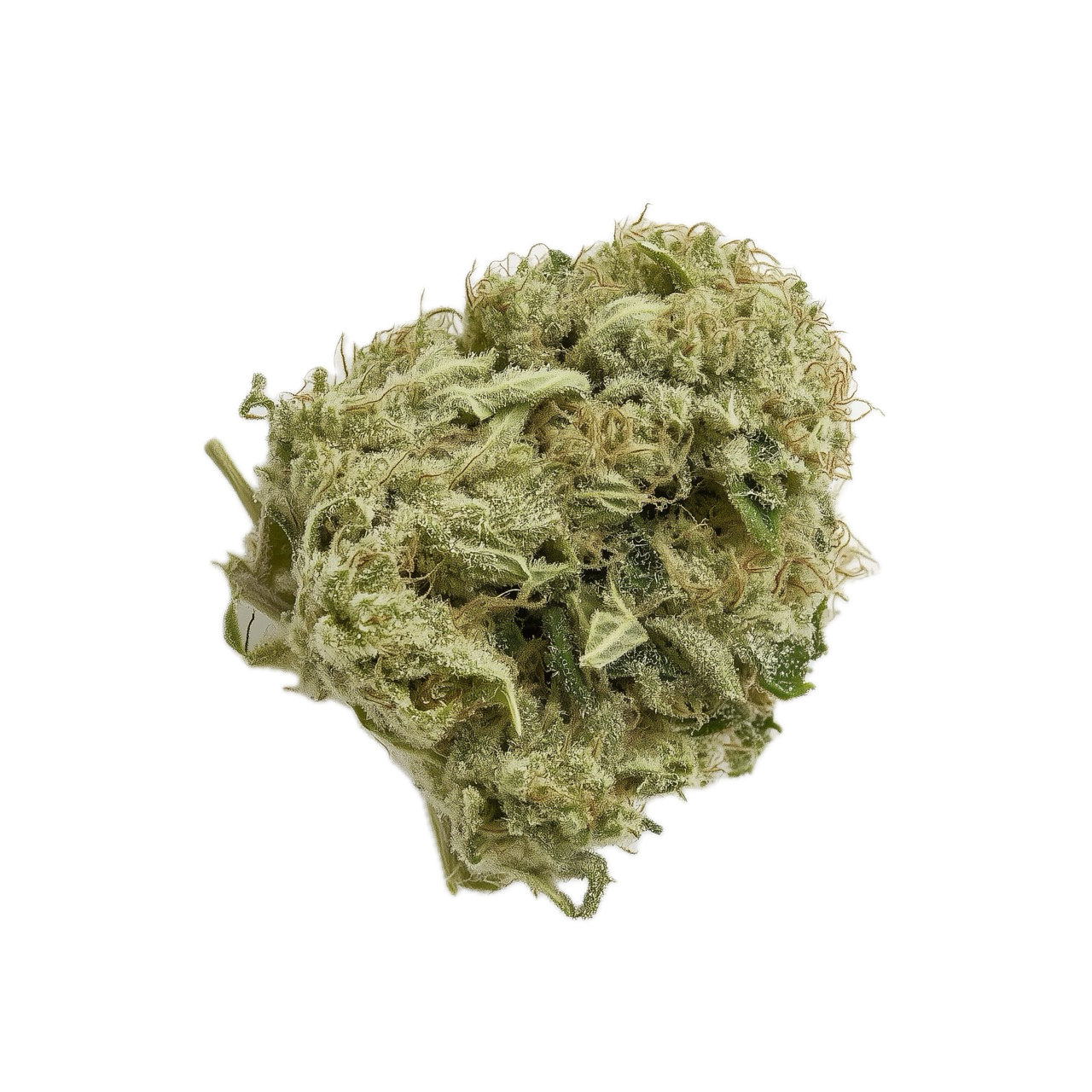 420 Evolution 27/1 MMI "Miracle Mint"