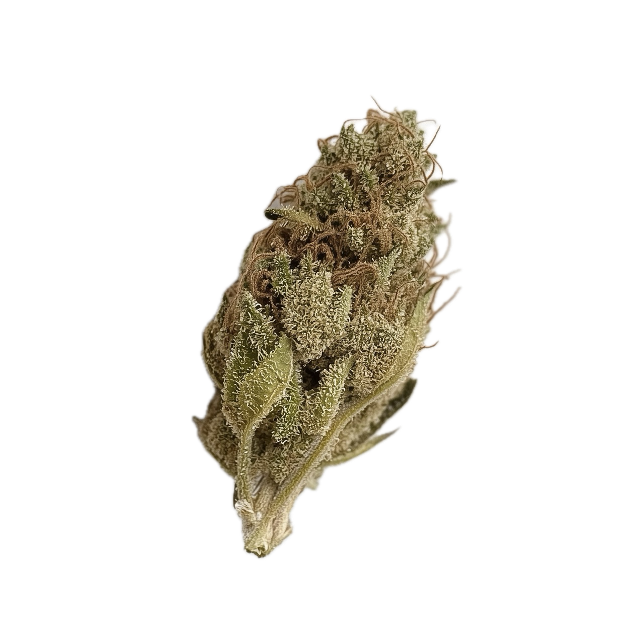 420 Natural 25/1 GG4 "Gorilla Glue"