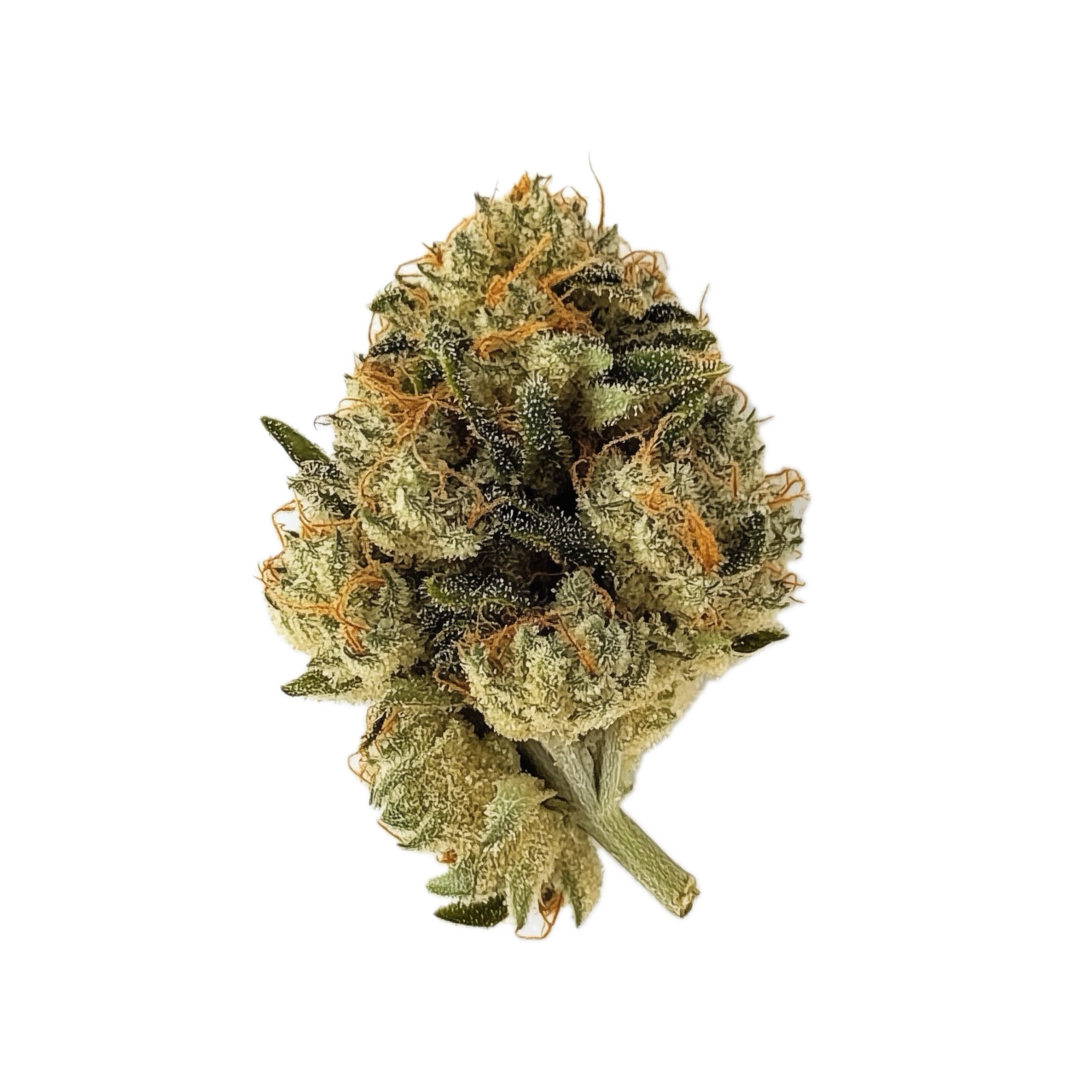 TRUU LX 27/1 "GMO Cookies x Kush Mints"