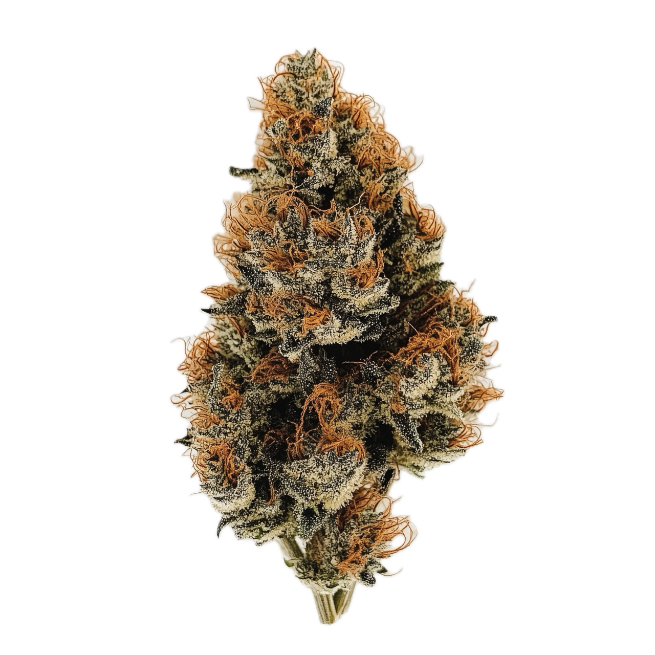 Legend's RP 34/1 "Rainbow Pavé"