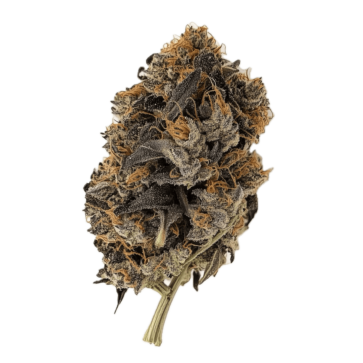 Huala 25/1 KBK "Kebab Kush"