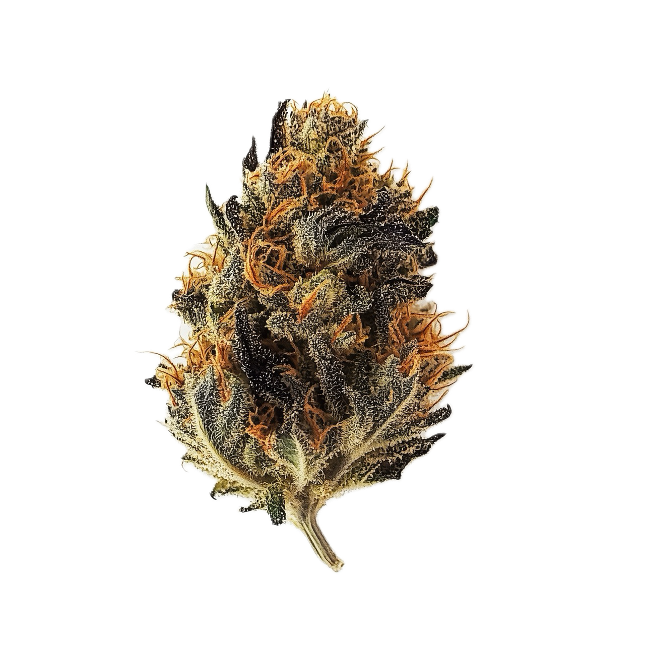 enua 27/1 TCP "Tropical Cherry Punch"