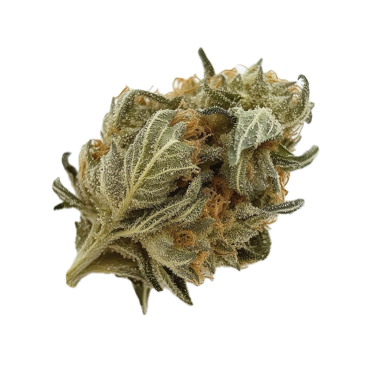 420 Evolution 25/1 FLM "Frozen Lemon Mints"