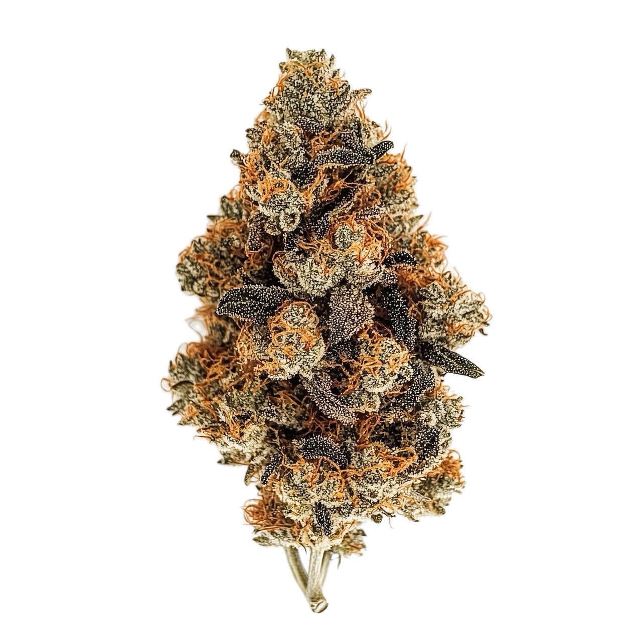 Pedanios 27/1 PND-CA "Pink Diesel"