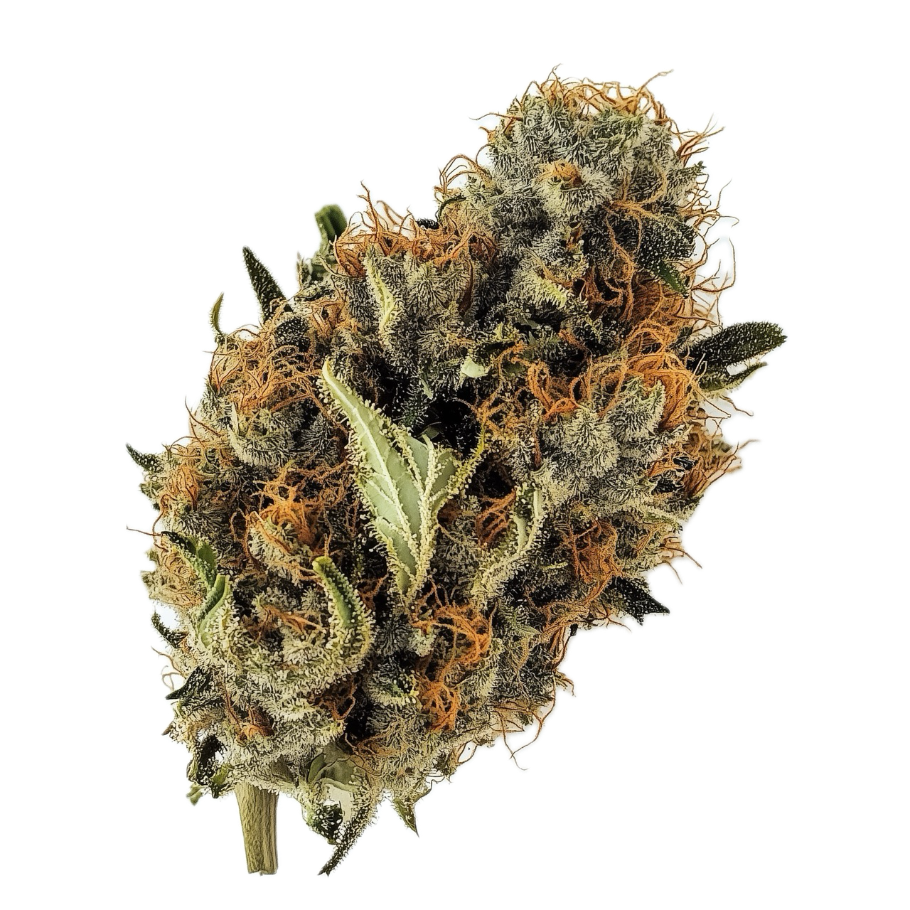 DEMECAN PS Strong Drop 30/1 "Animal Cookies x SinMint Cookies"