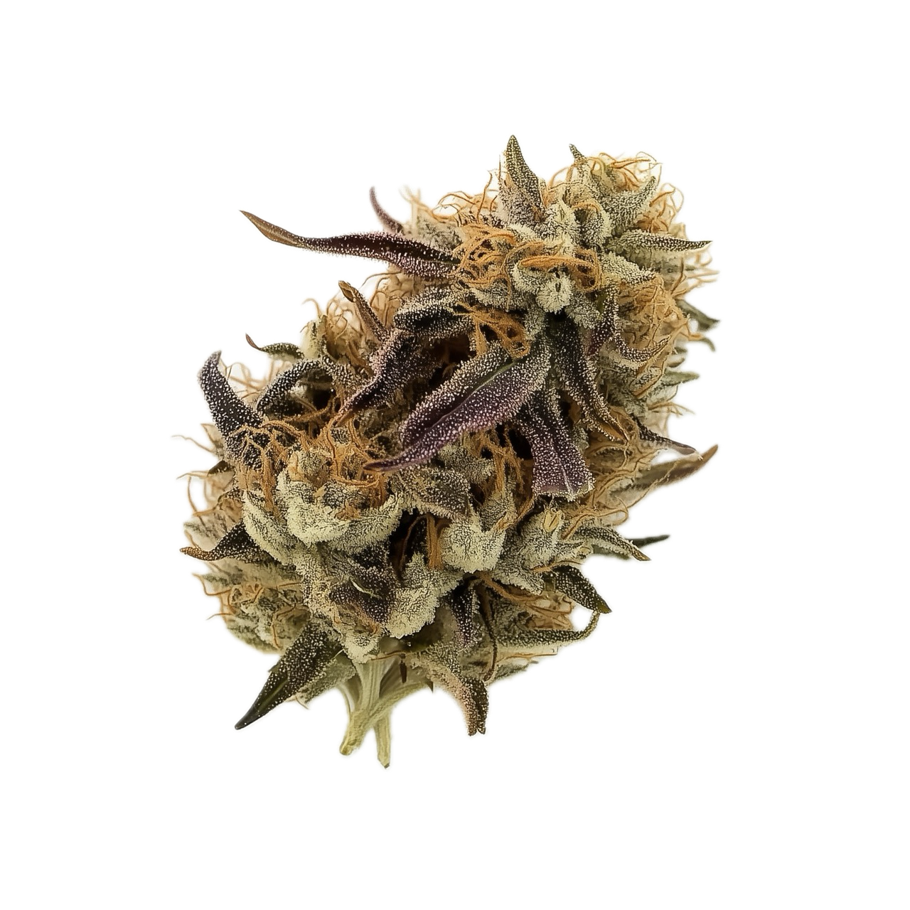 Bava Med 29/1 MON-BU "Monkey Butter"