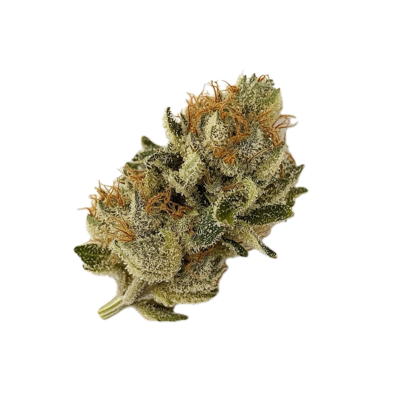 Cannamedical Indica Classic AU 21/1 "El Jefe"