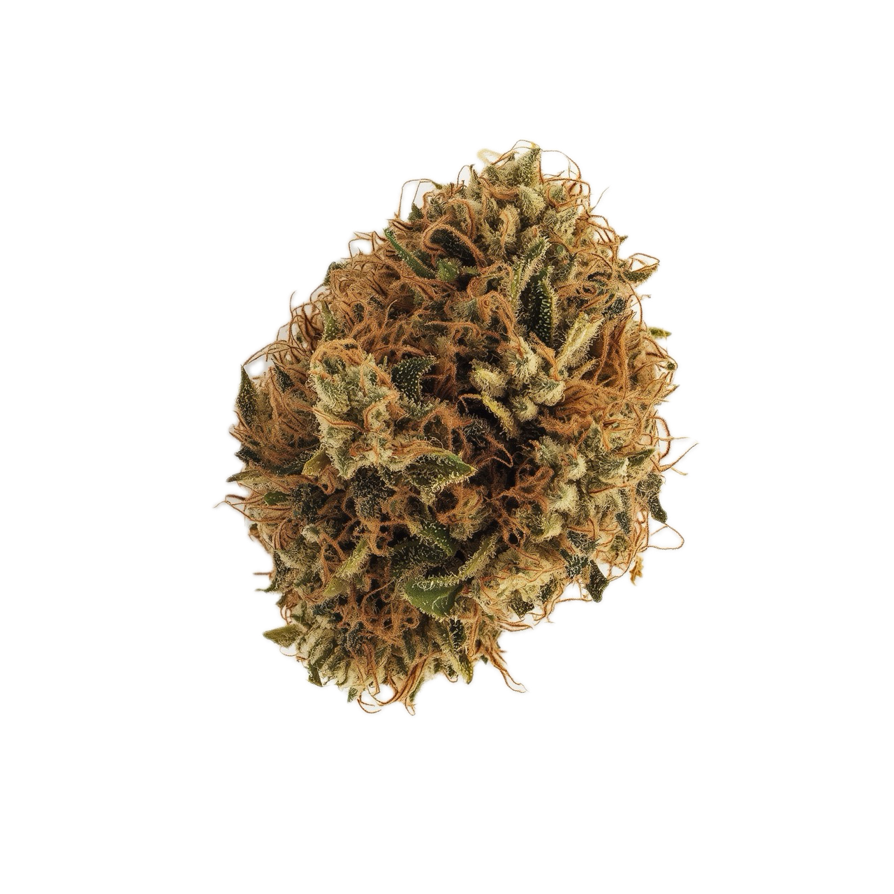 420 Evolution 16/1 LCG "Lemon Cherry Gelato"