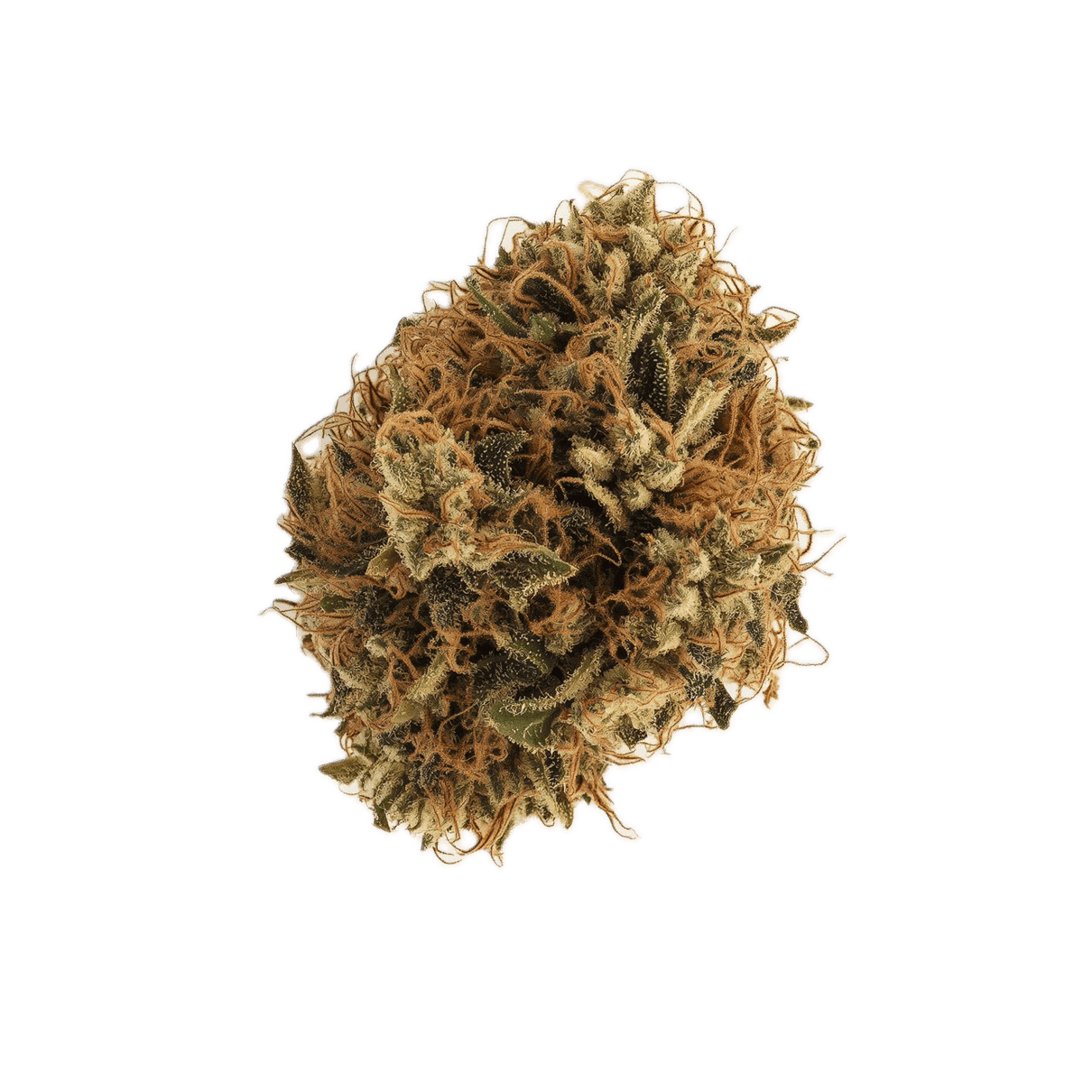 Organic Sweetgrass BLT 30/1 "Blacklight"