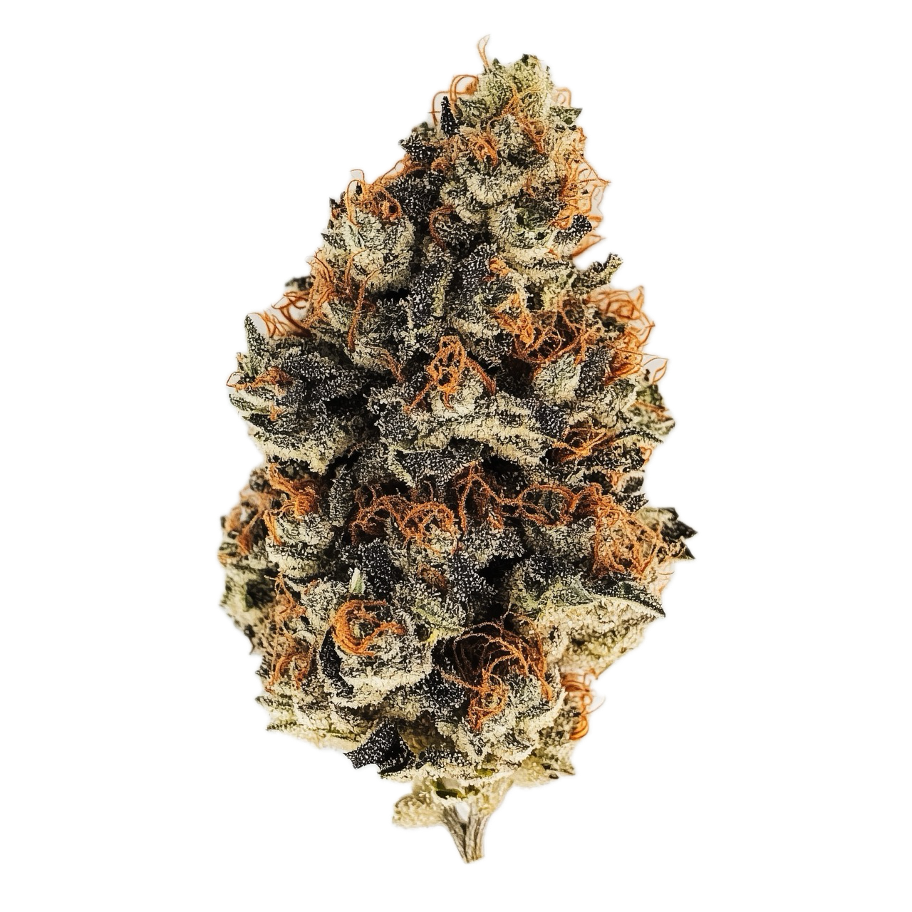 avaay 22/1 PNK "Pineapple Nuken"