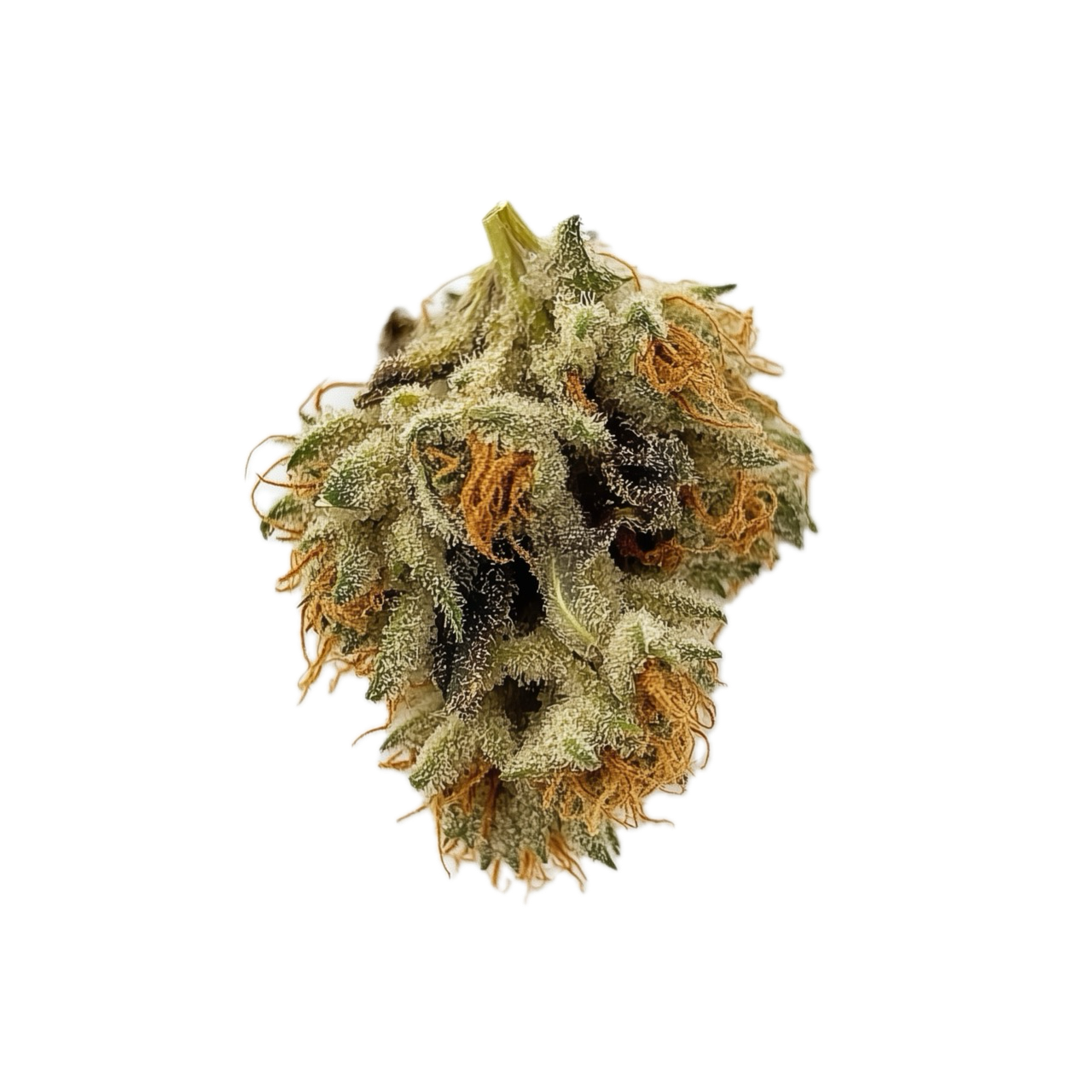 Huala 20/1 ALM "Alien Mints"