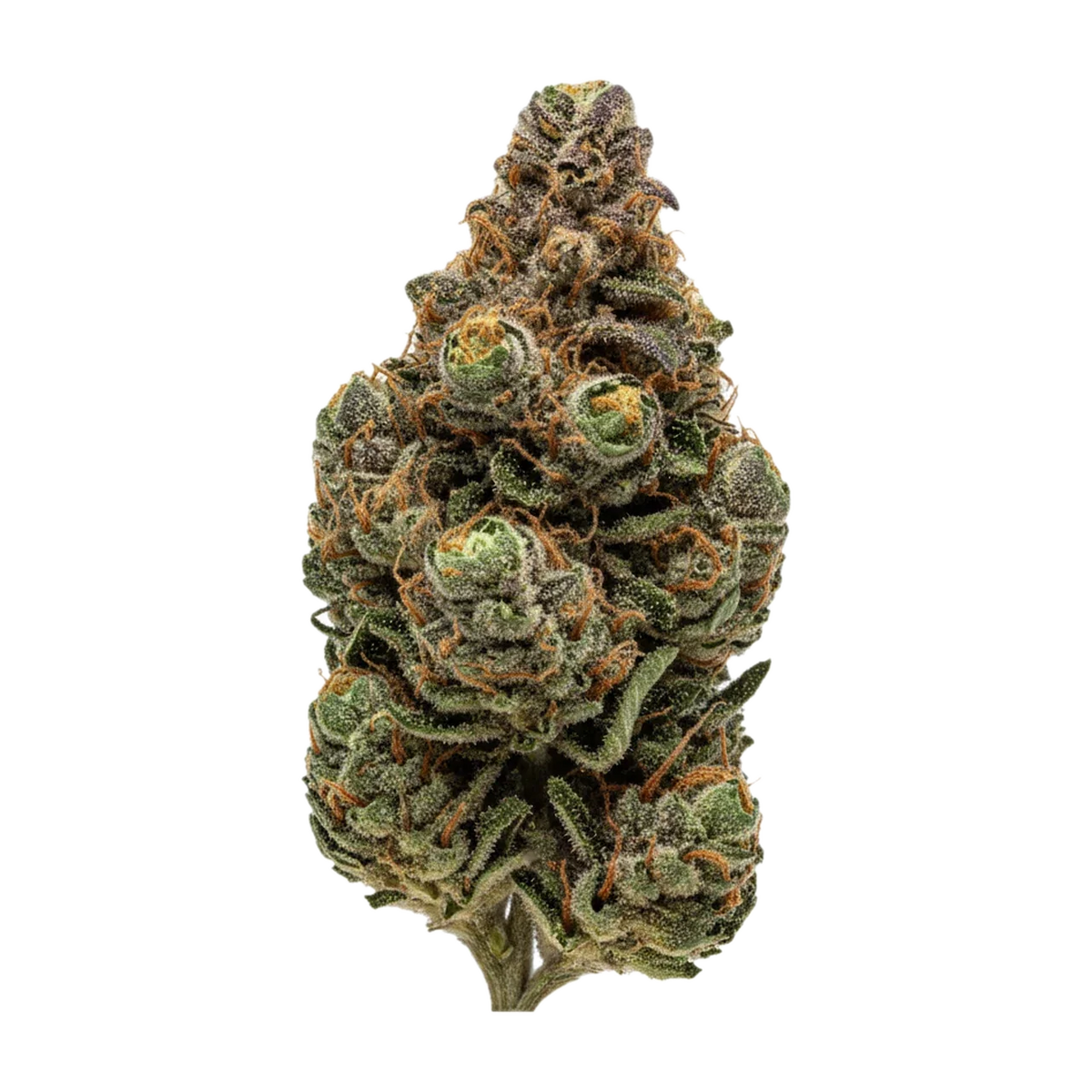 KI-generierte Illustration einer Cannabisblüte, zeigt nicht die tatsächliche Charge – Pedanios MBE-CA "Moon Berry"