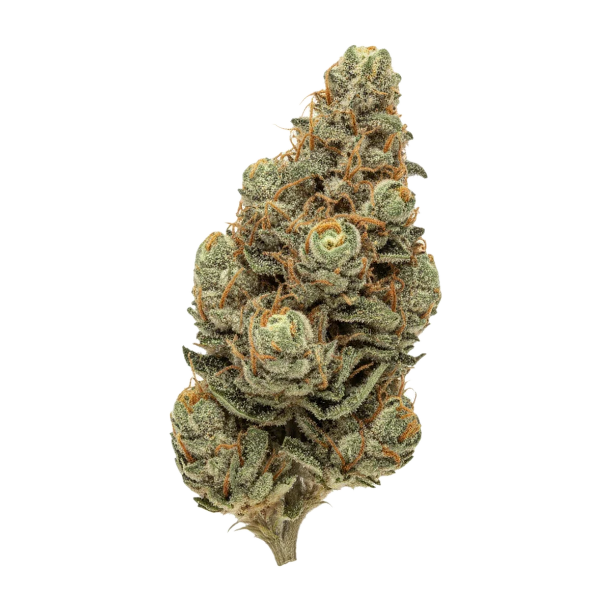KI-generierte Illustration einer Cannabisblüte, zeigt nicht die tatsächliche Charge – Pedanios 25/1 FLH-CA "Frozen Lemon Haze"