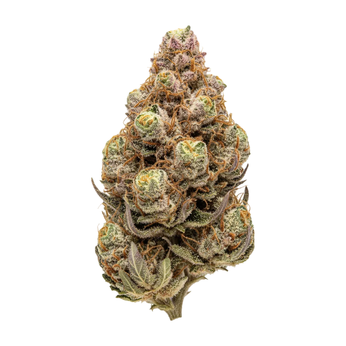 KI-generierte Illustration einer Cannabisblüte, zeigt nicht die tatsächliche Charge – Pedanios 26/1 EHD-CA "Electric Honeydew"