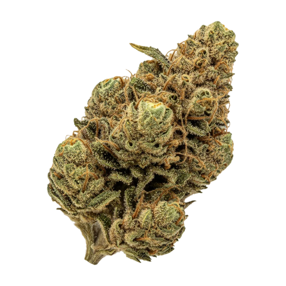 KI-generierte Illustration einer Cannabisblüte, zeigt nicht die tatsächliche Charge – Pedanios 28/1 CMK-CA "Chemango Kush"