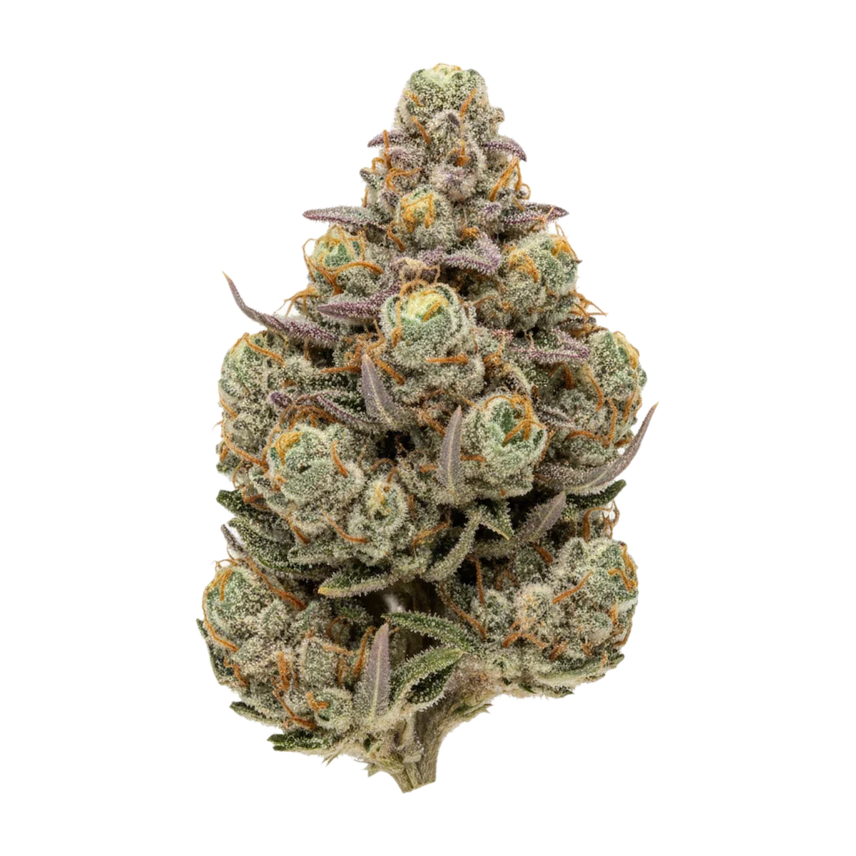 KI-generierte Illustration einer Cannabisblüte, zeigt nicht die tatsächliche Charge – PHCANN Exotics "Amber"