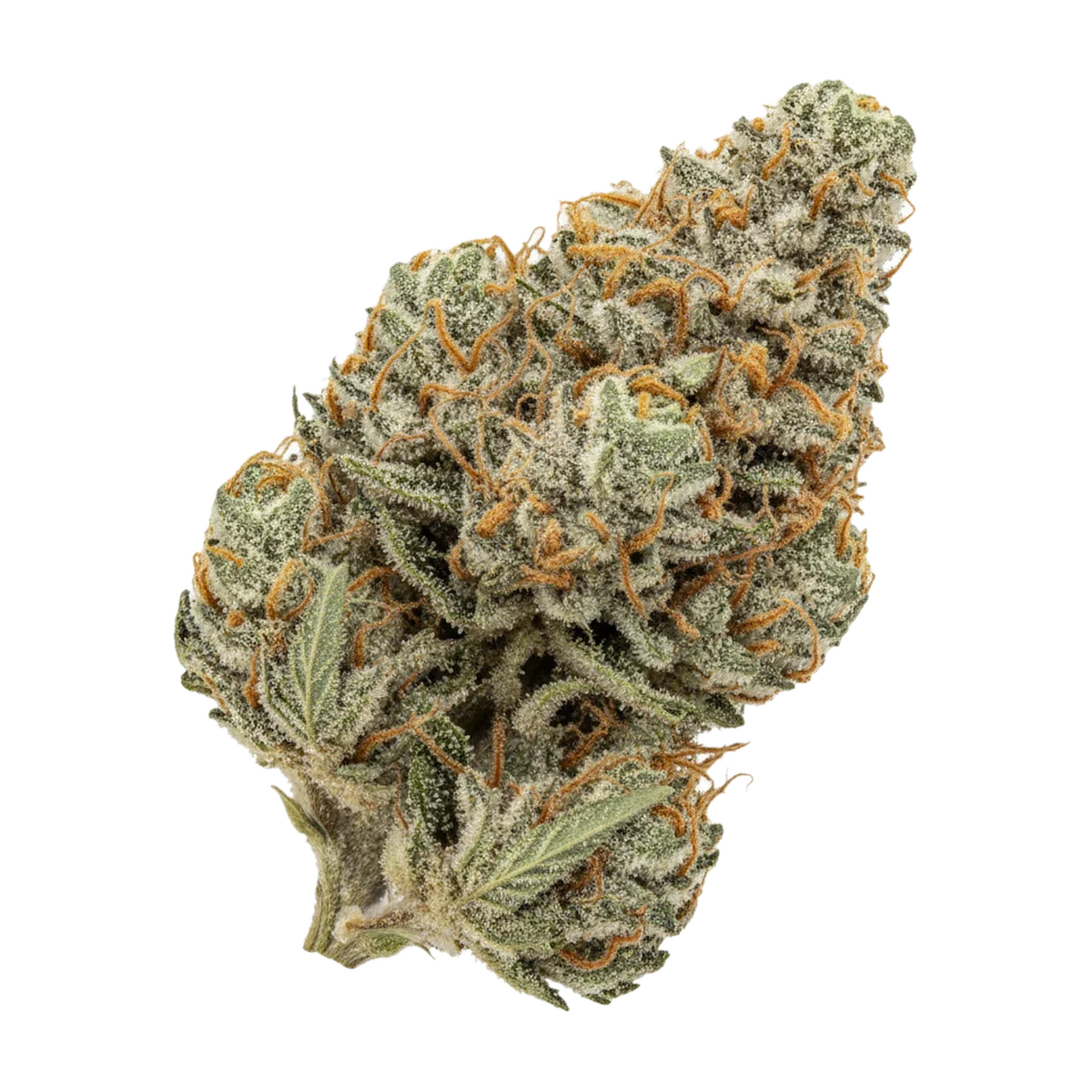 KI-generierte Illustration einer Cannabisblüte, zeigt nicht die tatsächliche Charge – PHCANN Exotics 32/1 "Spritzer"