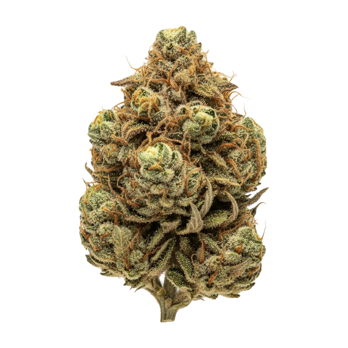 KI-generierte Illustration einer Cannabisblüte, zeigt nicht die tatsächliche Charge – Uncle Bob 25/1 GD "Granddaddy"