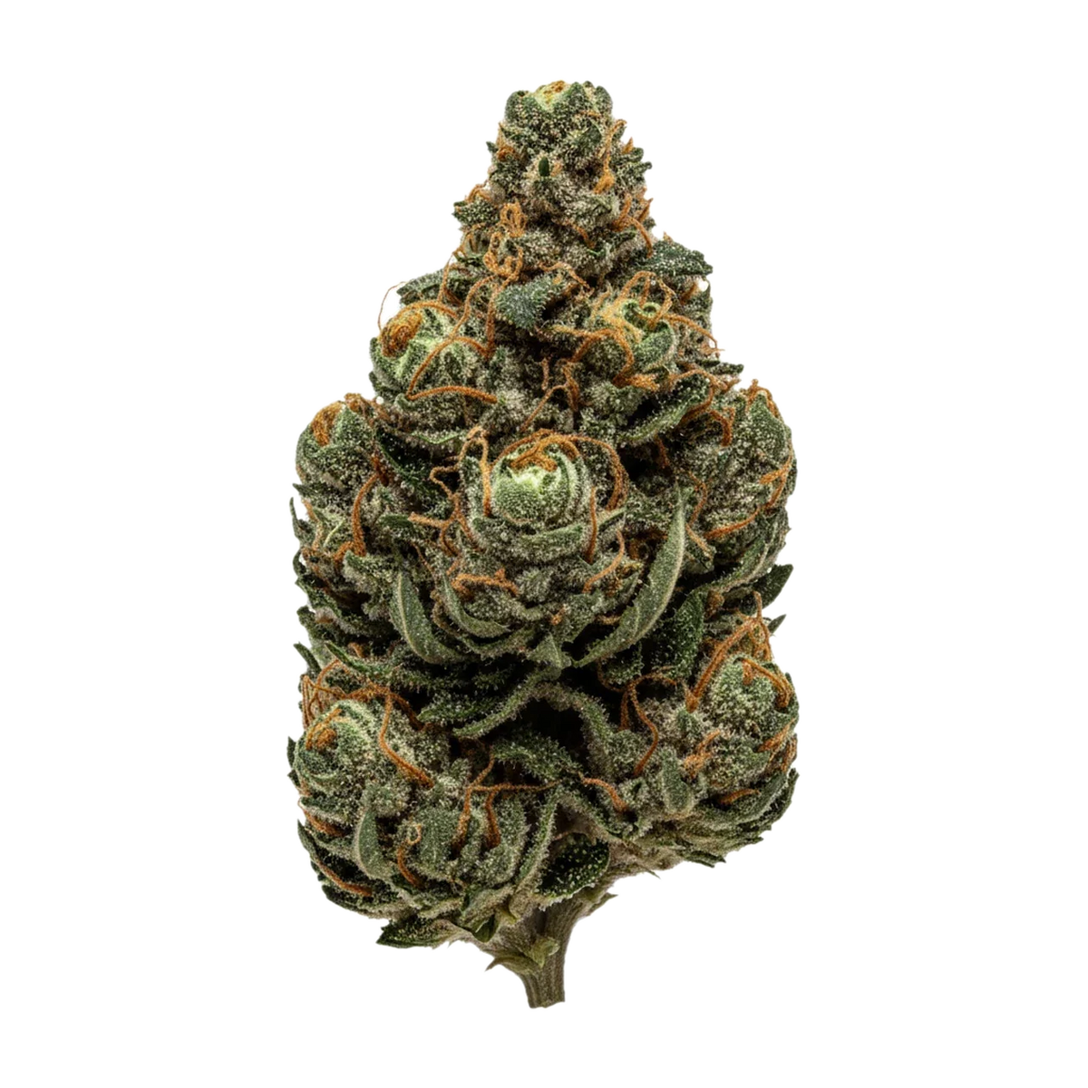 KI-generierte Illustration einer Cannabisblüte, zeigt nicht die tatsächliche Charge – TRUU HS 21/1 "Mandarin Sunset"