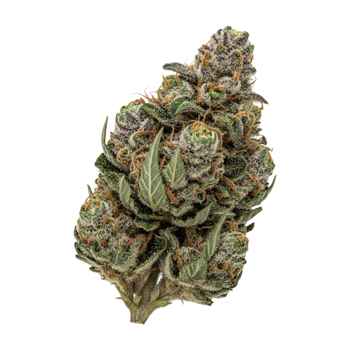 KI-generierte Illustration einer Cannabisblüte, zeigt nicht die tatsächliche Charge – Treatz 29/1 SZ "Sticky Zkittlez"