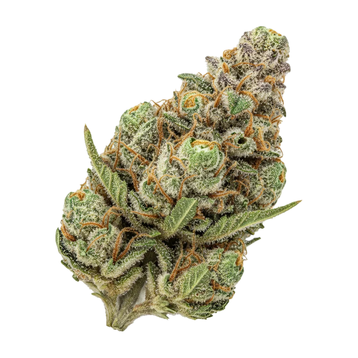 KI-generierte Illustration einer Cannabisblüte, zeigt nicht die tatsächliche Charge – UPSTATE 26/1 HP "Humbold Poundcake"