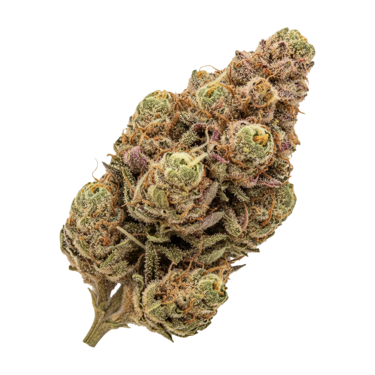 KI-generierte Illustration einer Cannabisblüte, zeigt nicht die tatsächliche Charge – Hi Society 27/1 MIM "Mimosa"