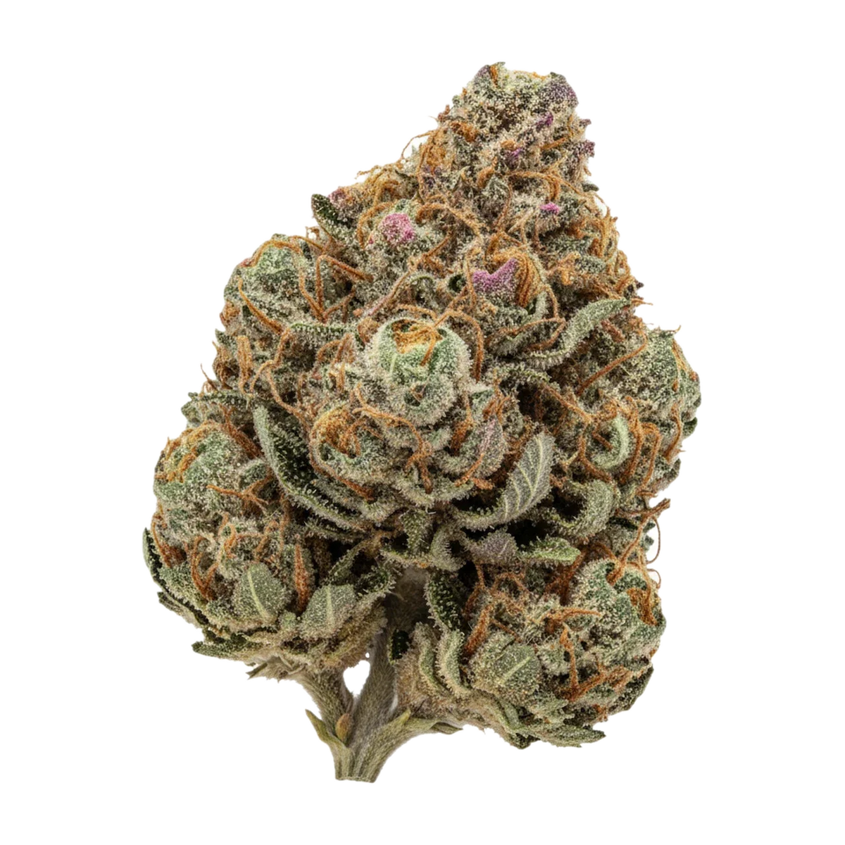 KI-generierte Illustration einer Cannabisblüte, zeigt nicht die tatsächliche Charge – UPSTATE 28/1 MP "Melon Pounder"