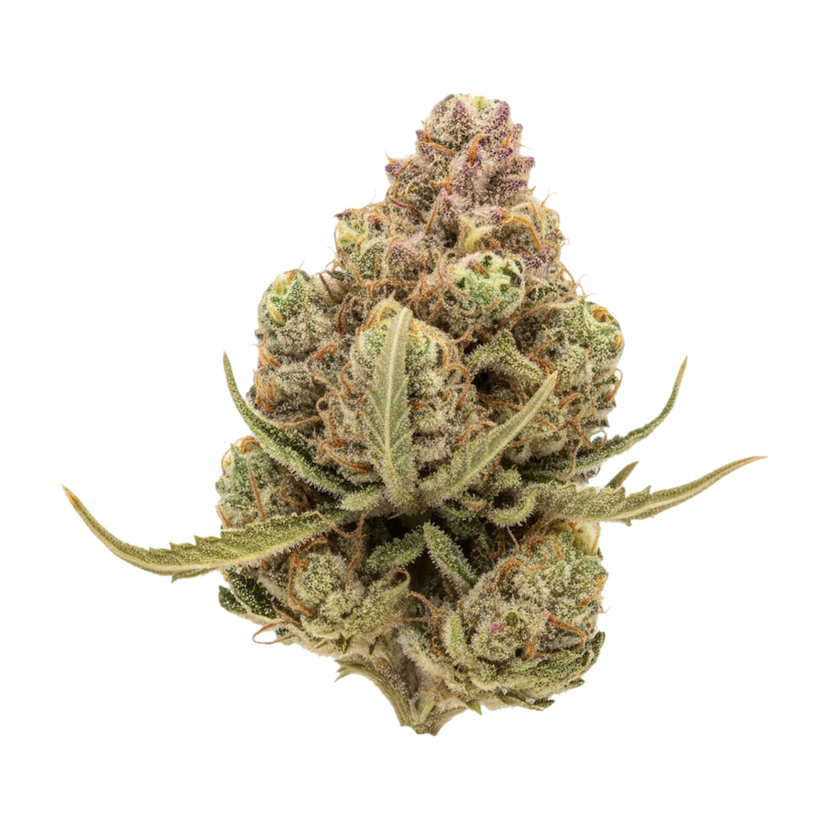 KI-generierte Illustration einer Cannabisblüte, zeigt nicht die tatsächliche Charge – DEMECAN PS FRTP 30/1 "Fruit Punch"