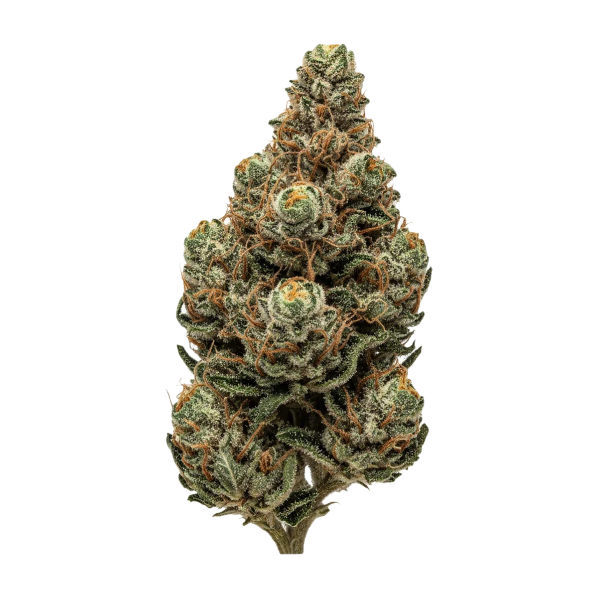 KI-generierte Illustration einer Cannabisblüte, zeigt nicht die tatsächliche Charge – ZOIKS 22/1 SF "Sour Flare"