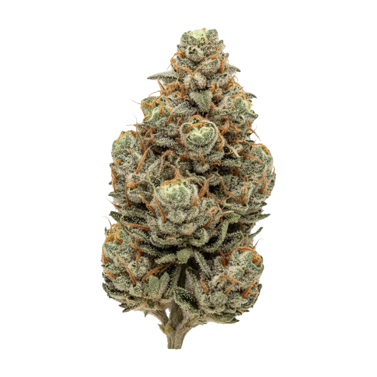 KI-generierte Illustration einer Cannabisblüte, zeigt nicht die tatsächliche Charge – ZOIKS 26/1 MOT "Motorgas"