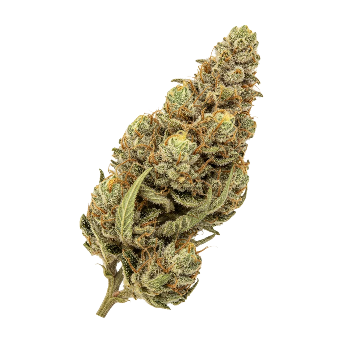 KI-generierte Illustration einer Cannabisblüte, zeigt nicht die tatsächliche Charge – DEMECAN Core CRC 30/1 "Cream Cake"